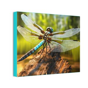 Dragonfly (Design 32) - 10x8 Canvas Art Print (S.e.P.T.™)