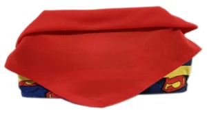 Suzanne's eBoutiqe OOAK Clutches - First Series