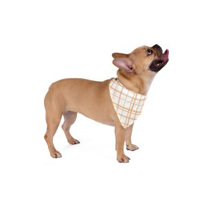 Chic White & Gold Plaid Print Dog Pet Bandana - (S.e.P.T.™)