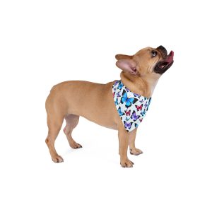 Multi-Color Butterfly Garden Print Pet Bandana - (S.e.P.T.™)