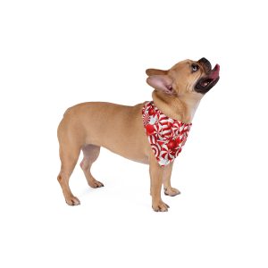 Christmas Peppermint Candy Pet Bandana - (S.e.P.T.™)