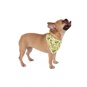 Tropical Pineapple Fruit Print Dog Pet Bandana - (S.e.P.T.™)