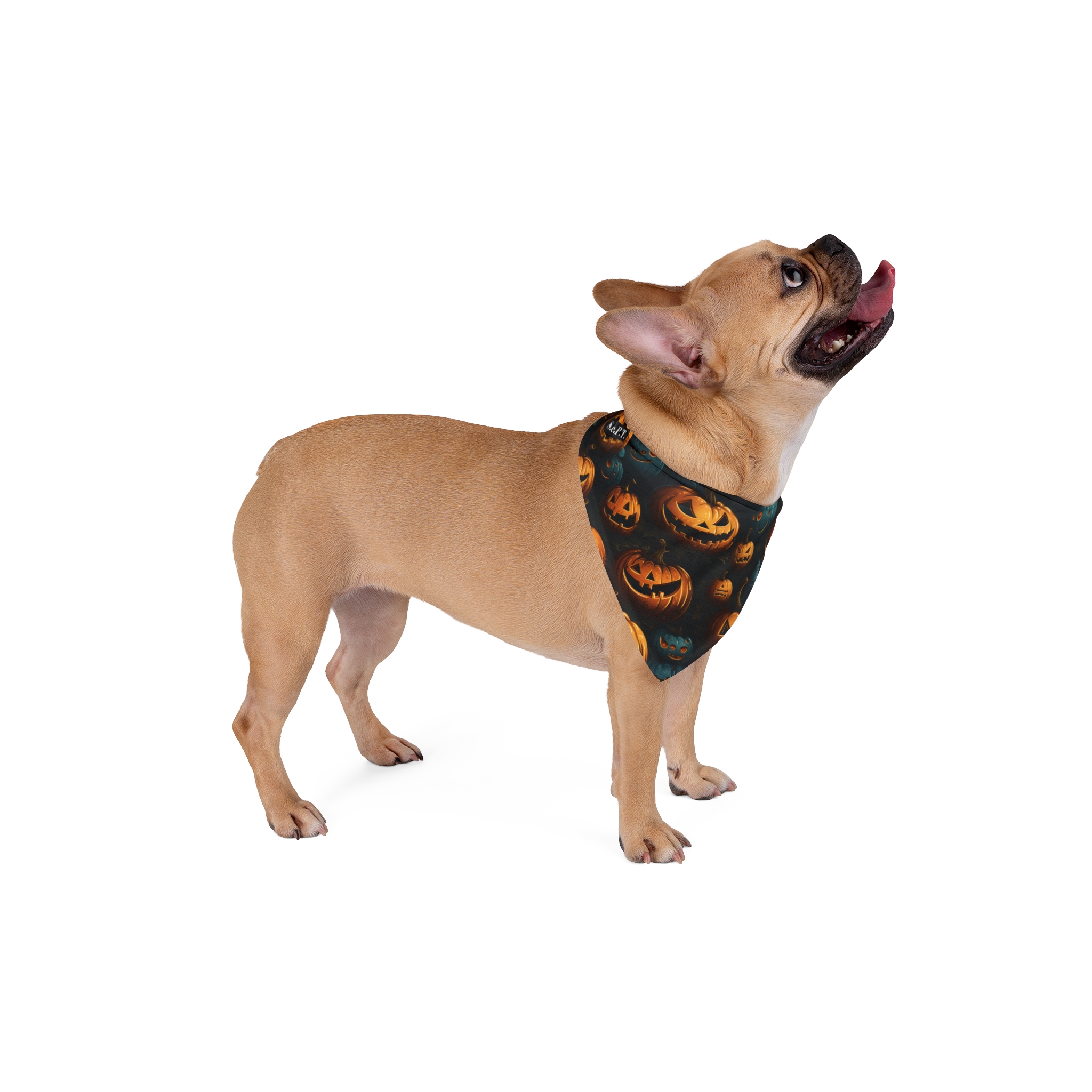 Wicked Jack-O’-Lanterns Halloween Pumpkins Pet Bandana - (S.e.P.T.™)