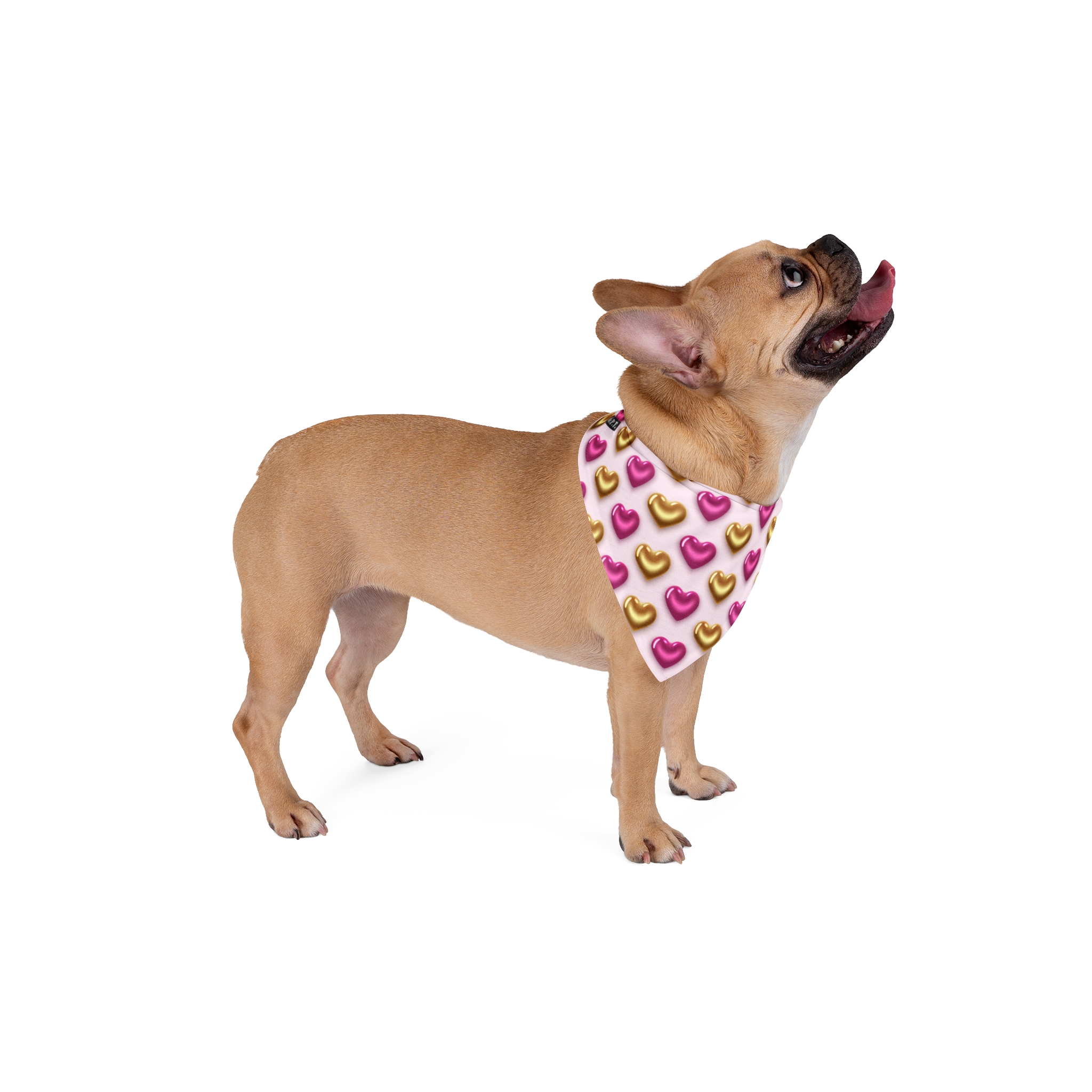 Glossy Pink and Gold Hearts Pattern Pet Bandana - (S.e.P.T.) - Image 4
