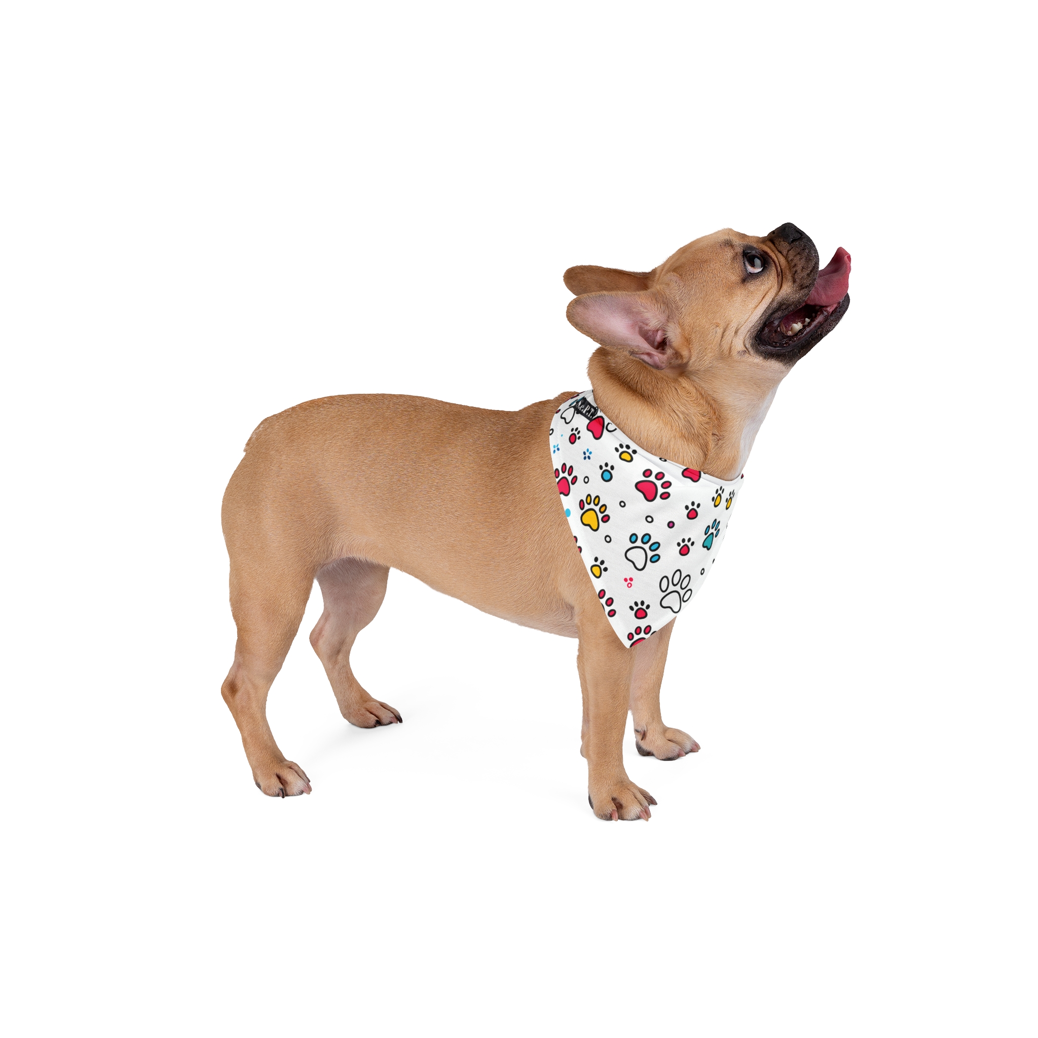 Vibrant Doodle Paw Prints Pet Bandana - (S.e.P.T.™)