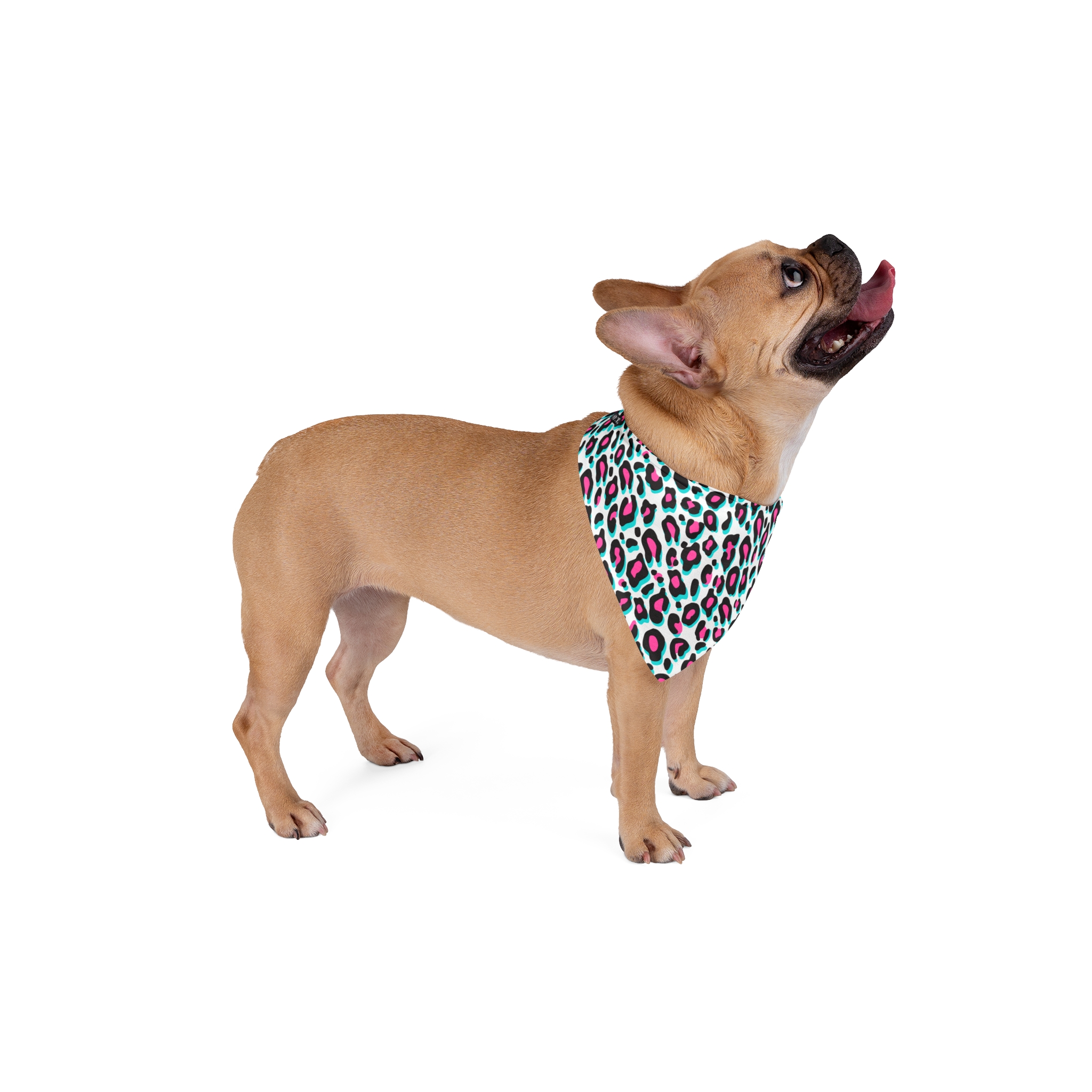 Fuchsia & Aqua Leopard Print Dog Pet Bandana - (S.e.P.T.™) - Image 9
