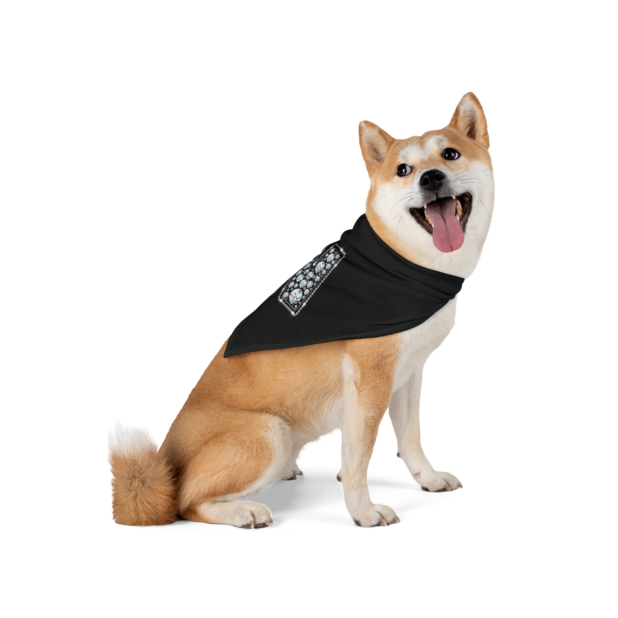 Blingy Initial "N" Pet Bandana - (S.e.P.T.) - Image 5