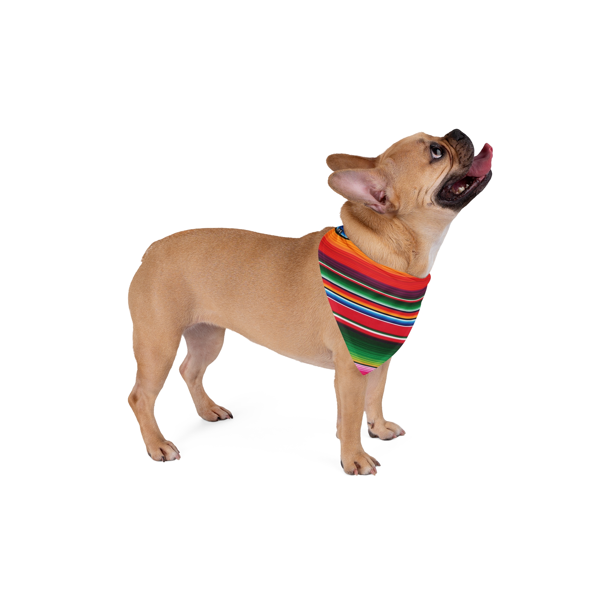 Vibrant Serape Stripe Pet Bandana - (S.e.P.T.™)