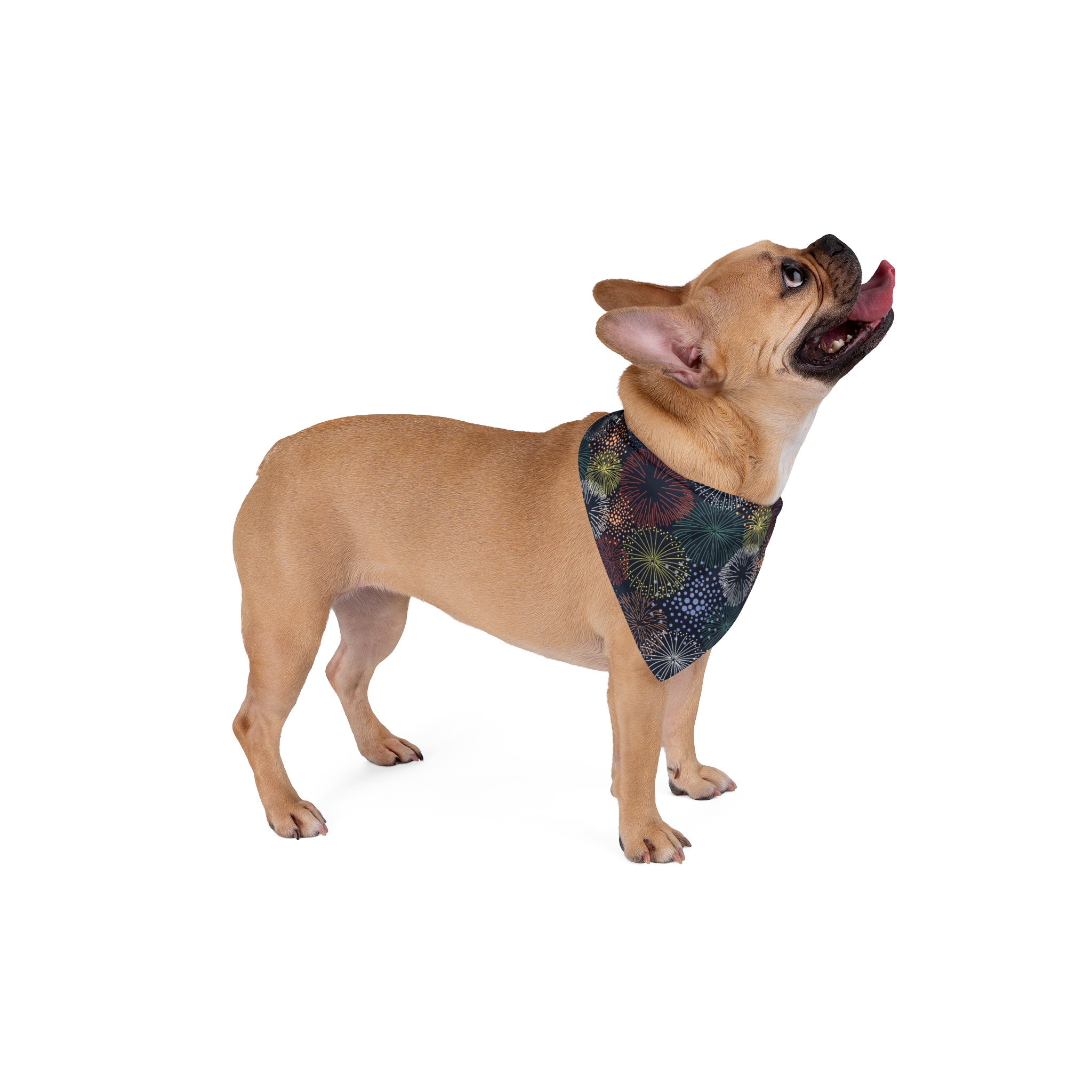 Dark Celebration Fireworks Print Dog Pet Bandana - (S.e.P.T.™)