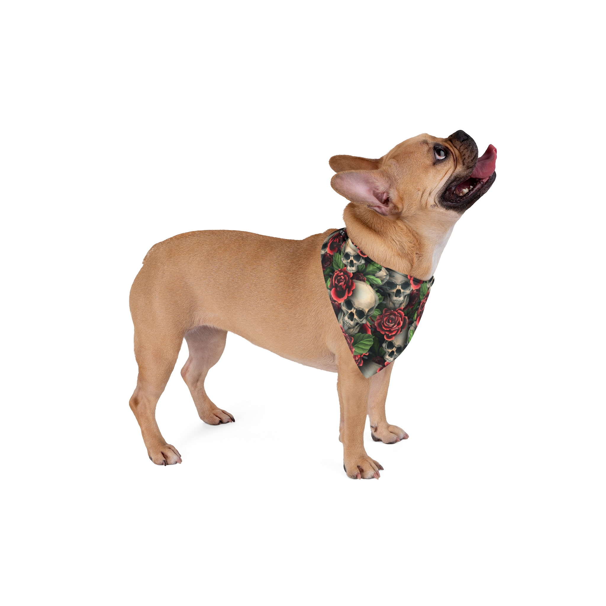 Gothic Skulls & Red Roses Print Dog Pet Bandana - (S.e.P.T.™) - Image 9