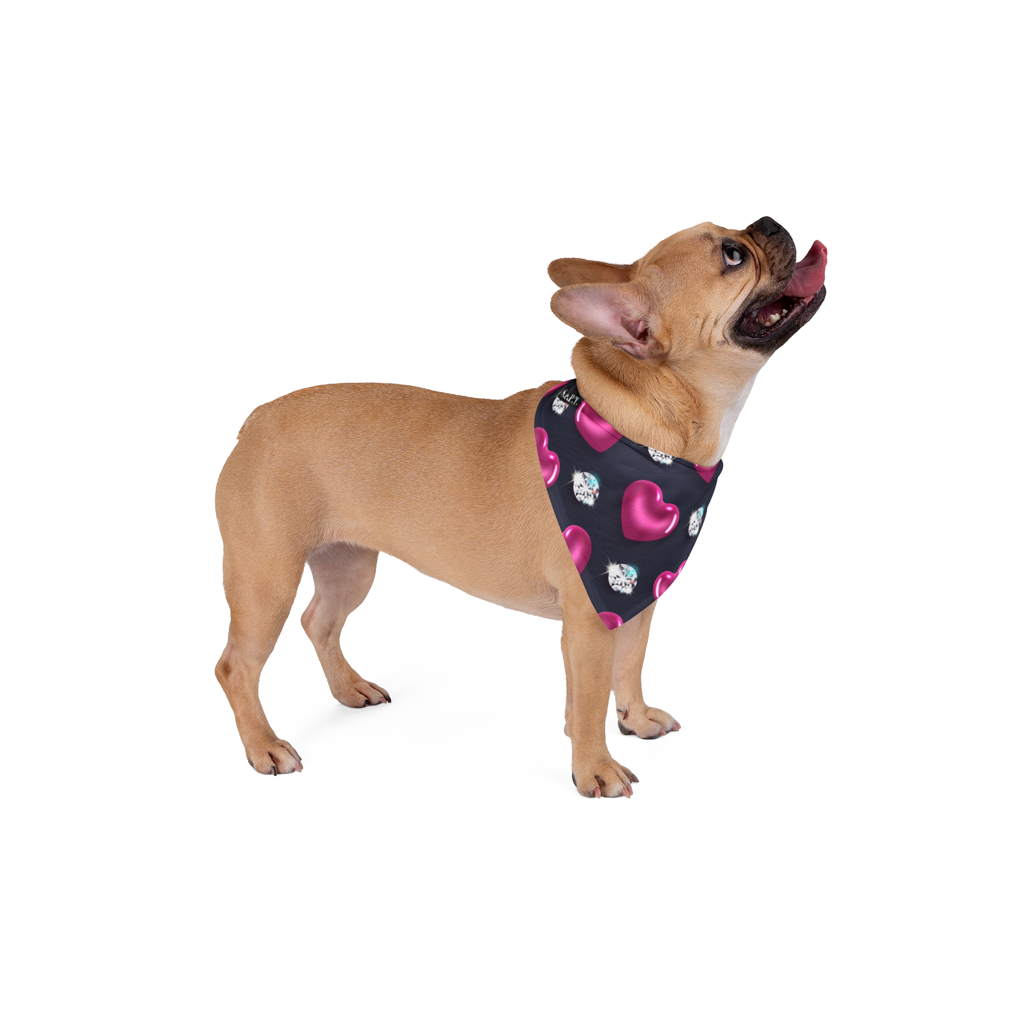 Glossy Pink Hearts & Diamonds Print Pet Bandana - (S.e.P.T.™)