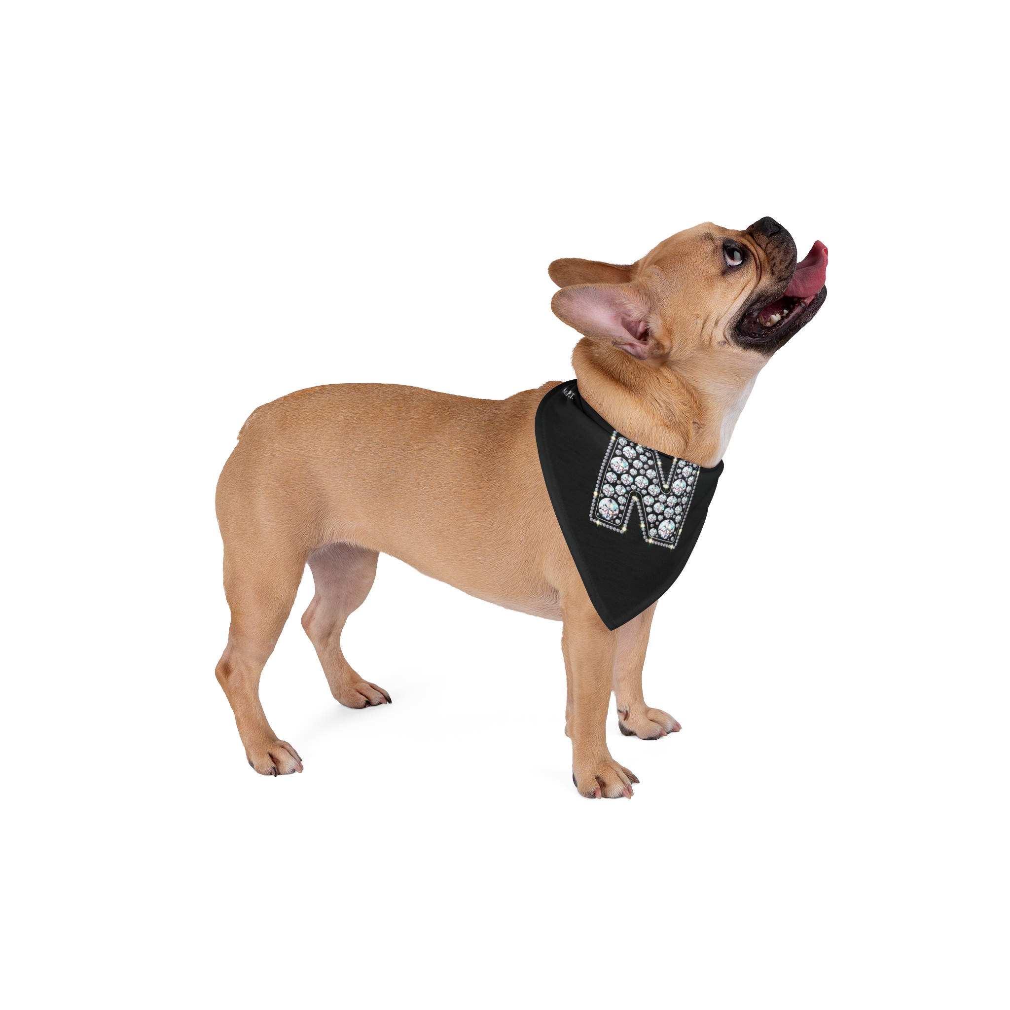 Blingy Initial "N" Pet Bandana - (S.e.P.T.) - Image 4