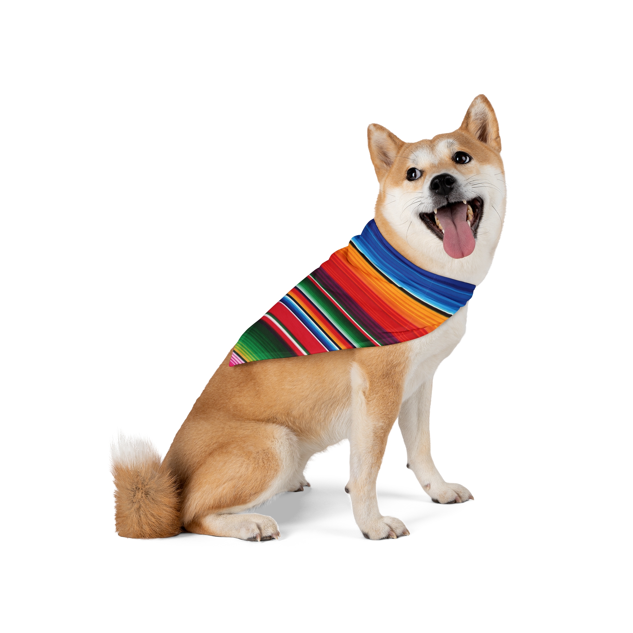 Vibrant Serape Stripe Pet Bandana - (S.e.P.T.™) - Image 2