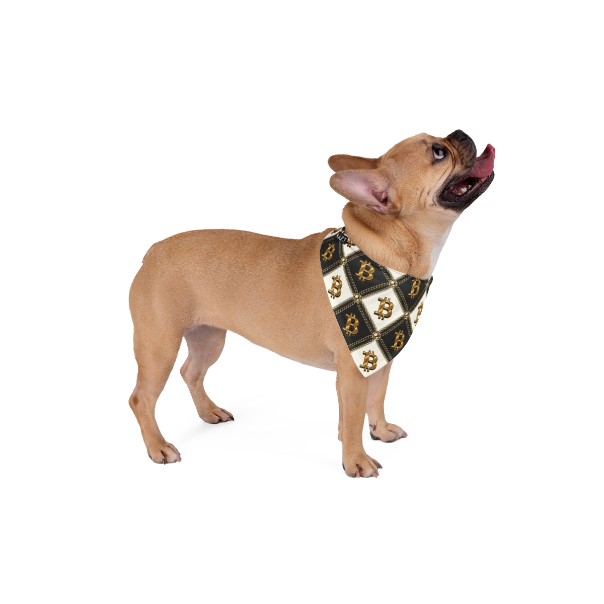 Luxury Bitcoin Crypto Quilted Chain Pet Bandana - (S.e.P.T.™)
